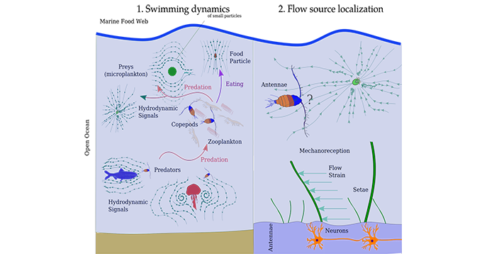 Illustration soutenance de thèse