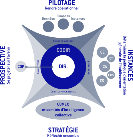 Schéma de la gouvernance à Centrale Méditerranée