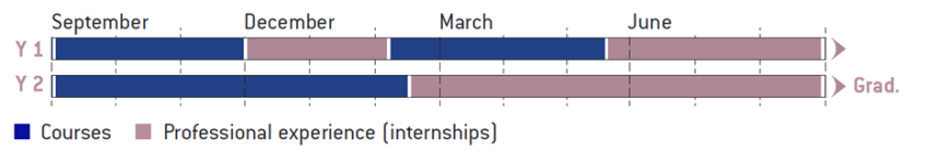 Program scheme