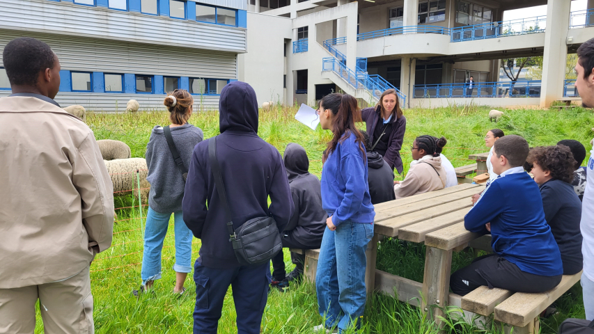 Atelier mouton avec Echange Pho