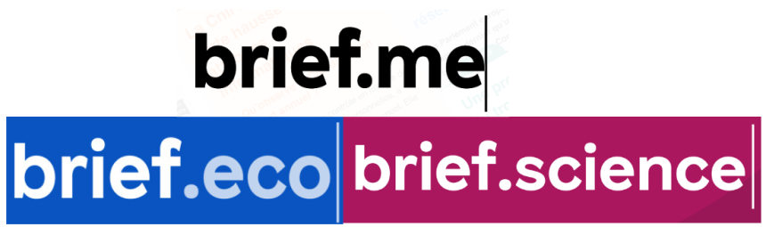 Brief